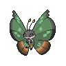 Jungle Vivillon